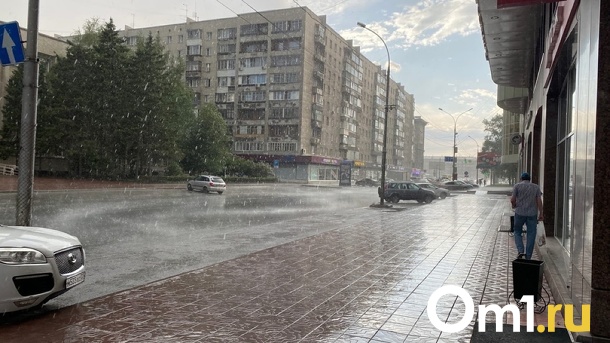 Достаём зонты: дожди и грозы накроют Новосибирск на текущей неделе