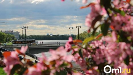 День России в Омске: опубликованы изменения в схемах движения транспорта