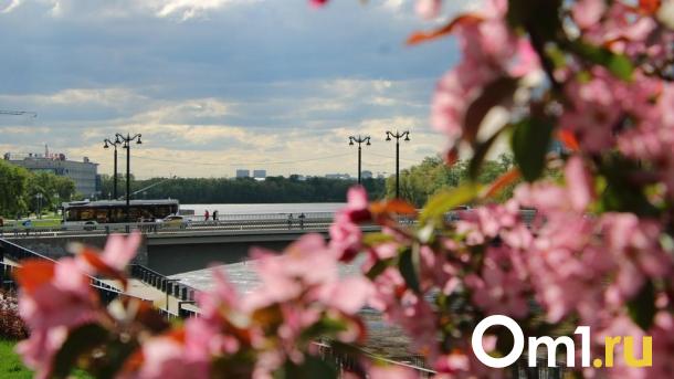 День России в Омске: опубликованы изменения в схемах движения транспорта