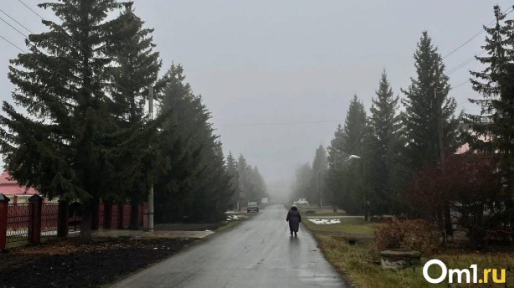 Жара в Омской области сменится мощным снегопадом