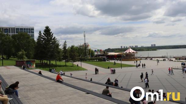 Новосибирцев приглашают посмотреть на картины, нарисованные бактериями