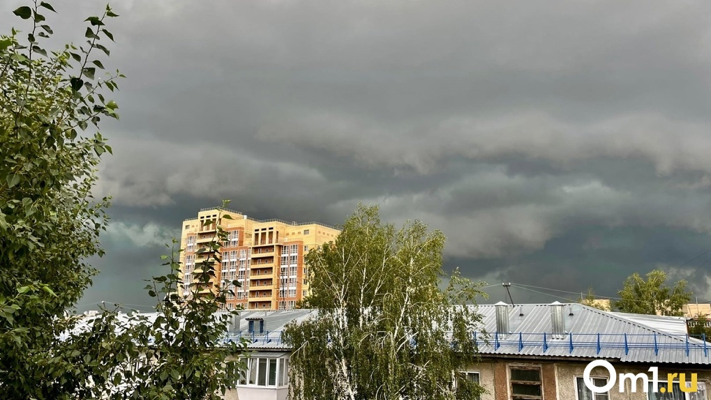 В Октябрьском округе Омска зафиксировали превышение опасного вещества в воздухе