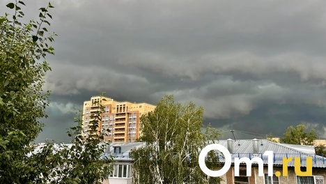 В Октябрьском округе Омска зафиксировали превышение опасного вещества в воздухе