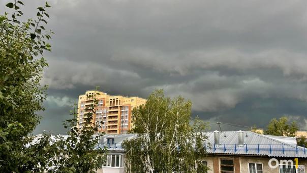В Октябрьском округе Омска зафиксировали превышение опасного вещества в воздухе