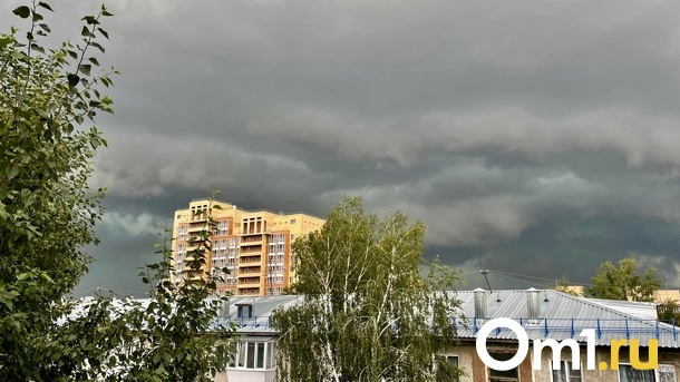 В Октябрьском округе Омска зафиксировали превышение опасного вещества в воздухе