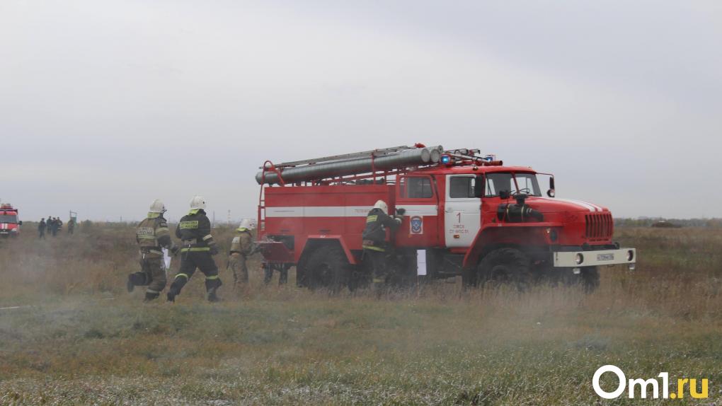 Ещё один пожар: в Омске загорелось поле