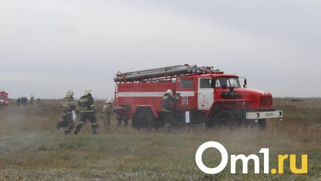 Ещё один пожар: в Омске загорелось поле