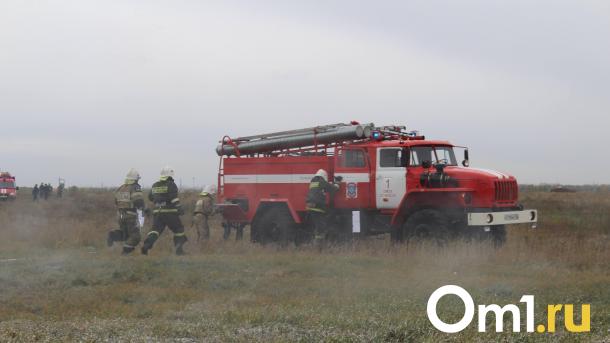 Ещё один пожар: в Омске загорелось поле