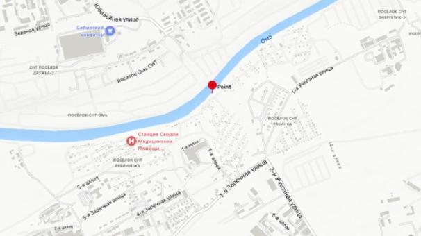 Деньги за проезд по новому мосту с омичей будут собирать камеры