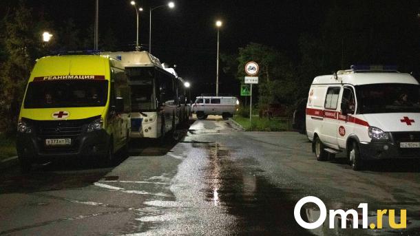 В Чкаловском омичка сбила девятилетнего мальчика