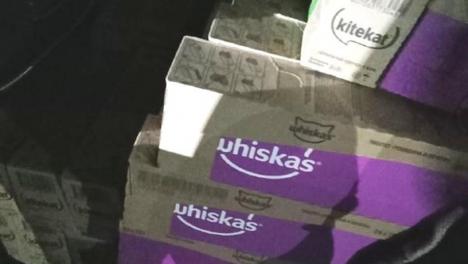 Из Омска в Казахстан пытались вывезти без документов кошачий корм и краба
