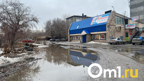 На новосибирских дорогах показались первые ямы