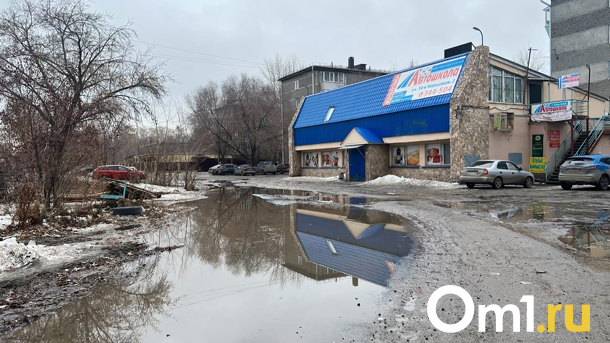 На новосибирских дорогах показались первые ямы