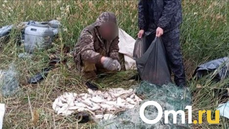 Двое омичей выловили из озера пеляди на миллион рублей