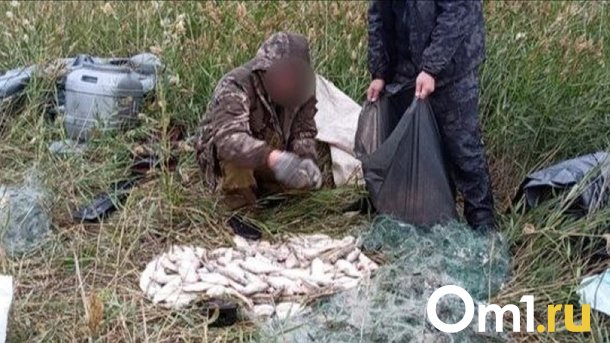 Двое омичей выловили из озера пеляди на миллион рублей