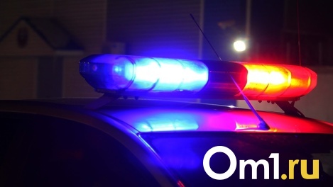 В Омске завершились поиски женщины, которая пропала вместе с двухлетним сыном