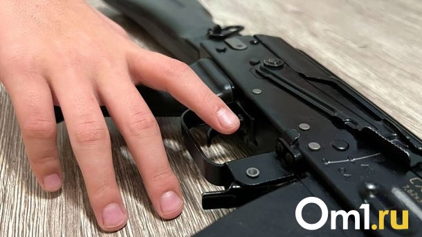 Молодой омич подстрелил сестру из винтовки