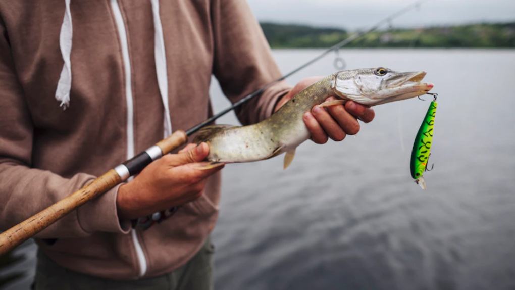 Лучшее место для рыбалки в августе назвали новосибирцам