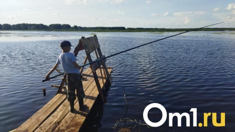 Рыбаки выловили громадного хищника размером с ребёнка в Омской области