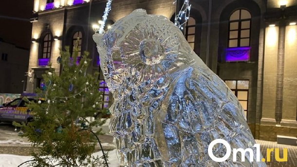 К омичке на балкон залетела сова