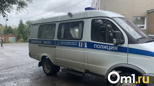 Омичка вынесла из дома знакомого бензопилу после совместного застолья