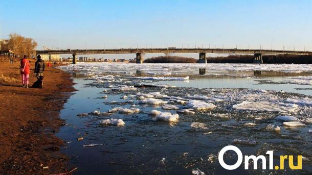 Определение границ трёх омских рек обойдётся в 7 миллионов рублей