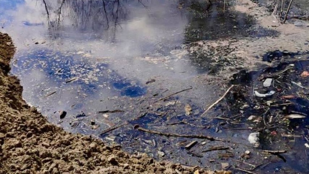 Новосибирскому картонному комбинату грозит штраф за слив опасных отходов в почву