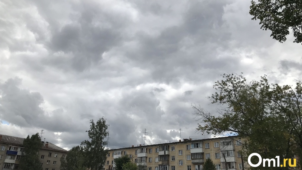 Сухой и пасмурный май прогнозируют синоптики в Новосибирске