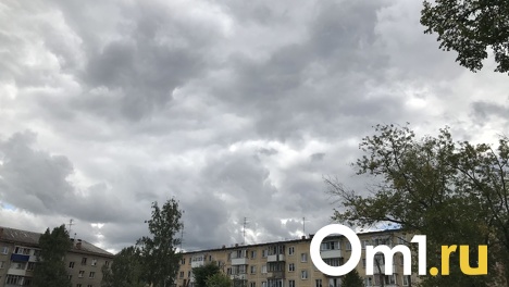 Сухой и пасмурный май прогнозируют синоптики в Новосибирске