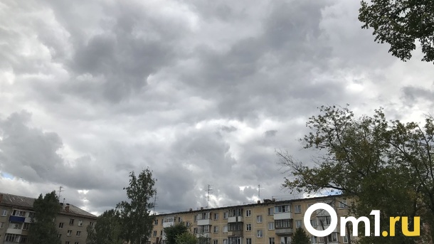 Сухой и пасмурный май прогнозируют синоптики в Новосибирске