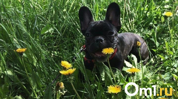 Как выжить в 35-градусную жару, рассказали в новосибирском Роспотребнадзоре