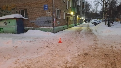 Колесо встало на голову ребёнка: в Новосибирске осудят автоледи, задавившую 3-летнего мальчика на санках