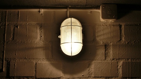 Пожилой сельчанин выращивал коноплю в подвале в Омской области