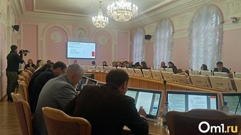 Омский горсовет выберет третьего вице-спикера