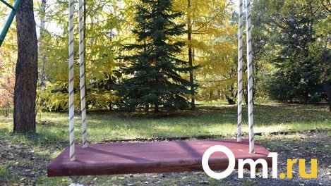 От лица омички на сайте объявлений опубликовано сообщение о продаже ребёнка