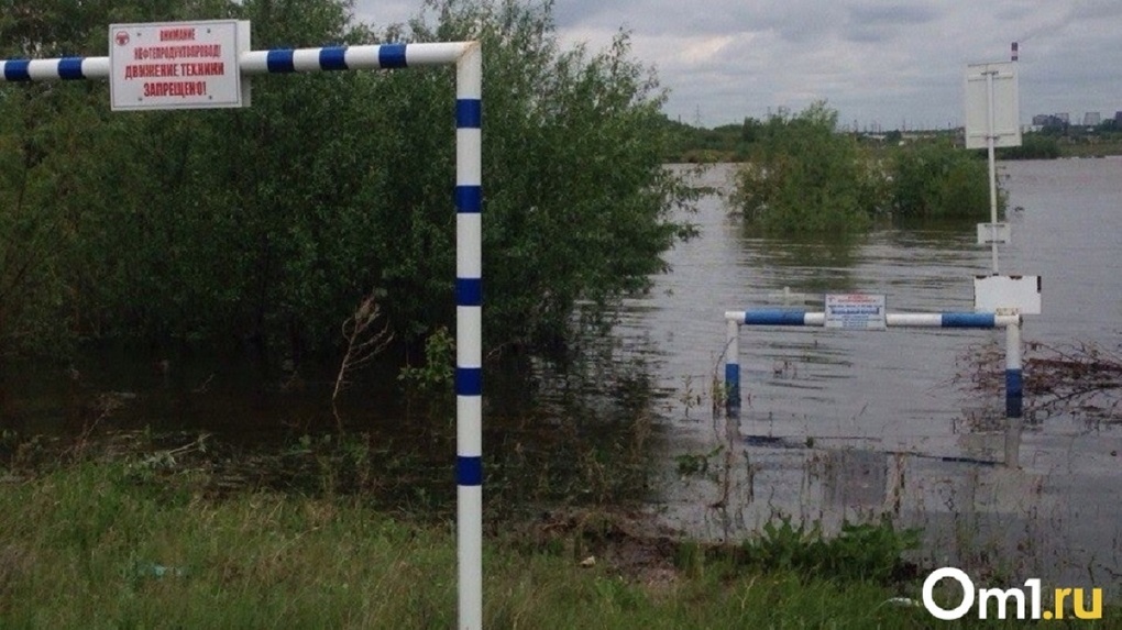 Причины мощного паводка назвали новосибирские спасатели
