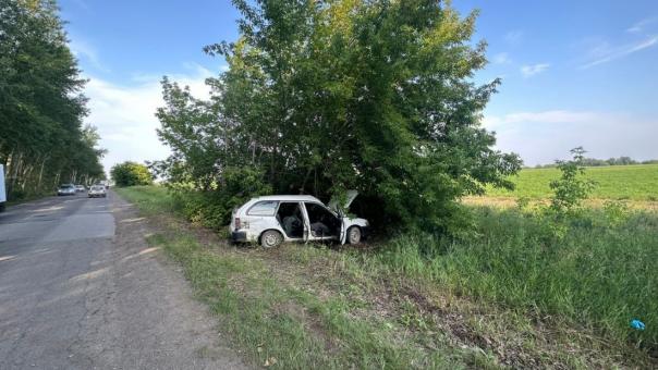 В Бердске 58-летний водитель Toyota Corolla разбился насмерть от столкновения с деревом