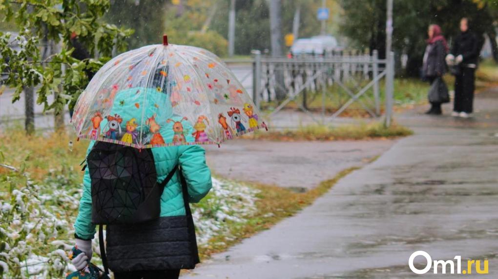 В Усть-Ишимском районе, страдающем от паводка, выпала ещё и двойная норма дождя