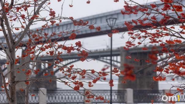 Резкое потепление ждёт новосибирцев в выходные