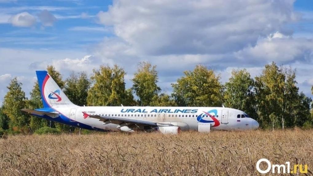 Самолёт, севший в пшеничном поле под Новосибирском, распилят и утилизируют