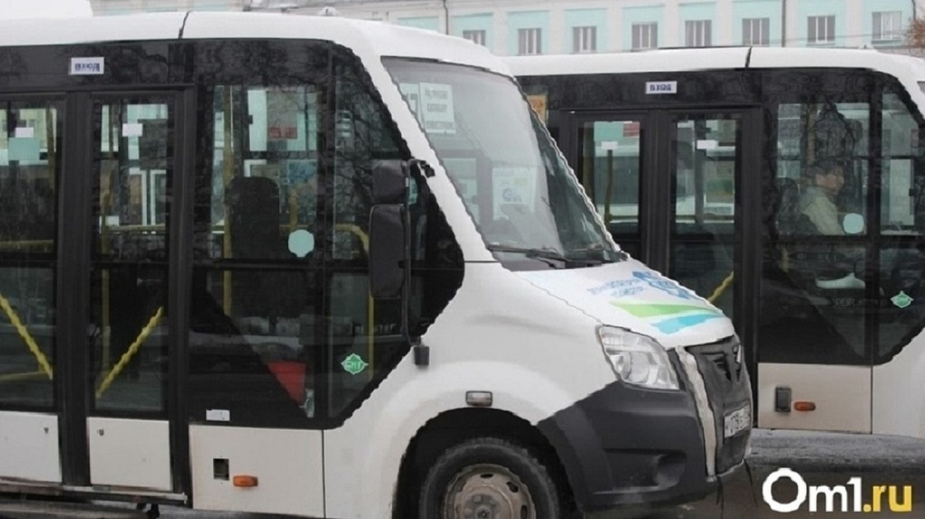В Омске водитель маршрутки на плечах занёс в салон инвалида без ног