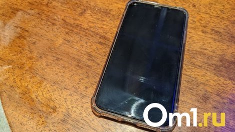 Бдительная омская бабушка вычислила телефонных мошенников