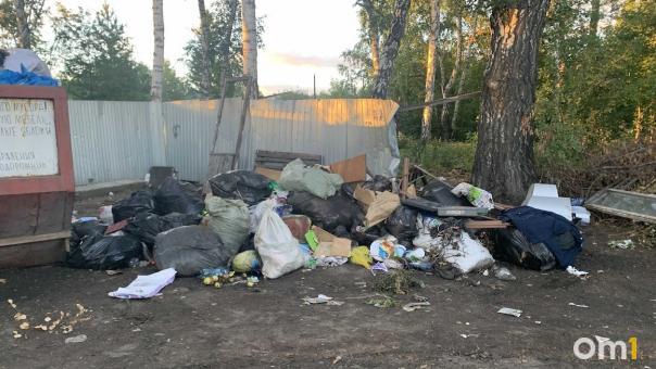 В Омске выявлено 152 факта незаконного сброса мусора