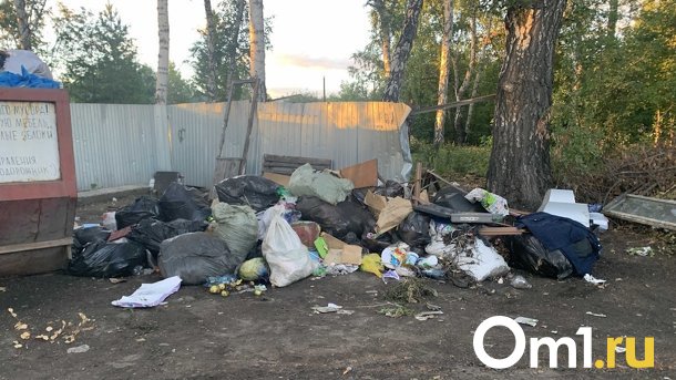 В Омске выявлено 152 факта незаконного сброса мусора