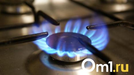В двух округах Омска возможны перебои с газоснабжением