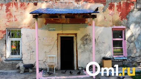 Разруха и крысы кругом: репортаж из новосибирских домов, где люди живут в нечеловеческих условиях