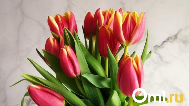 Стало известно, какие подарки хотели бы получить омички на 8 Марта