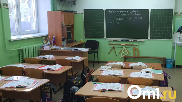 В Новосибирске уволили учительницу из-за службы в полиции