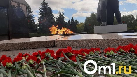 Власти Кемерова поставят счётчик на Вечный огонь