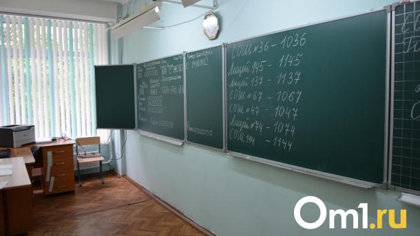 Стало известно, какие омские школы зарабатывают больше всего